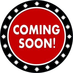 Hard Rock Cafe NEW ORLEANS Logo Pint Glass